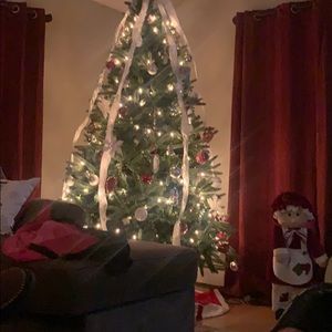 Meet your Posher, Dawne